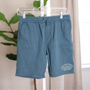 Volcom Men's Teal Athletic Shorts